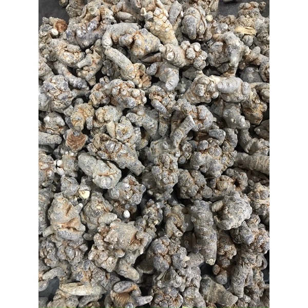 Tam Thất Bắc [loại 70-90-50-52-40-30 củ]