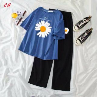 Sét quần rộng hoa cúc+ áo phông hoa cúc tia sét