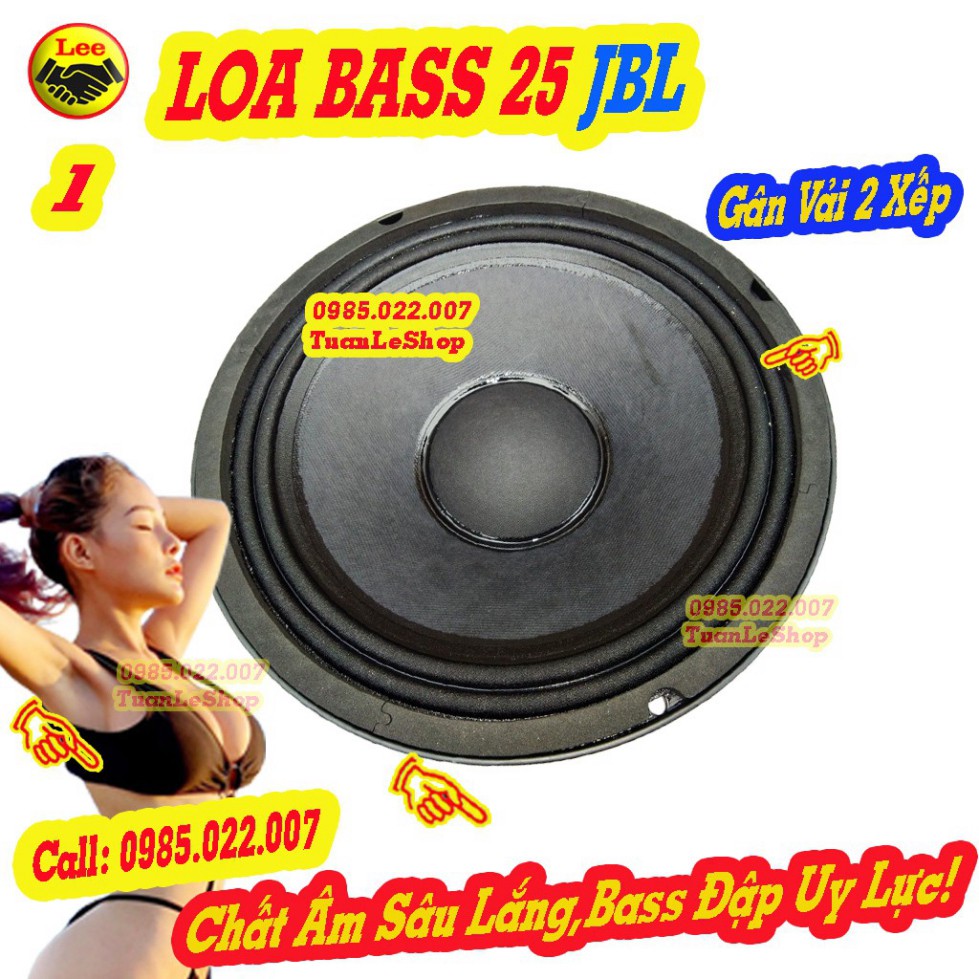 2 CỦ LOA BASS 25 LOA KARAOKE  JB L  – GIÁ 1 CẶP 2.5 TẤC