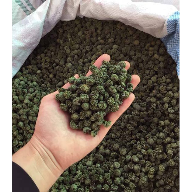 500gr NỤ TAM THẤT BAO TỬ KHÔ - hỗ trợ mất ngủ