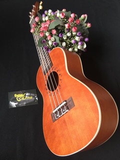 Đàn Ukulele Concert HD800 CB2