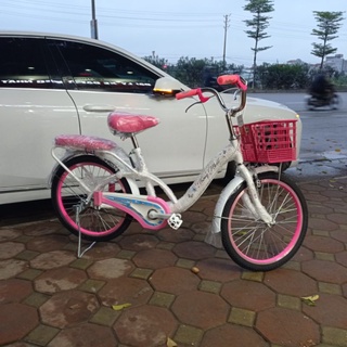 Xe đạp Neo 20-02
