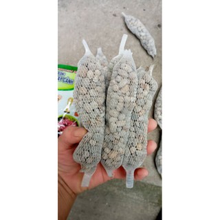 1 đoạn phân dê dài 15cm nguyên chất