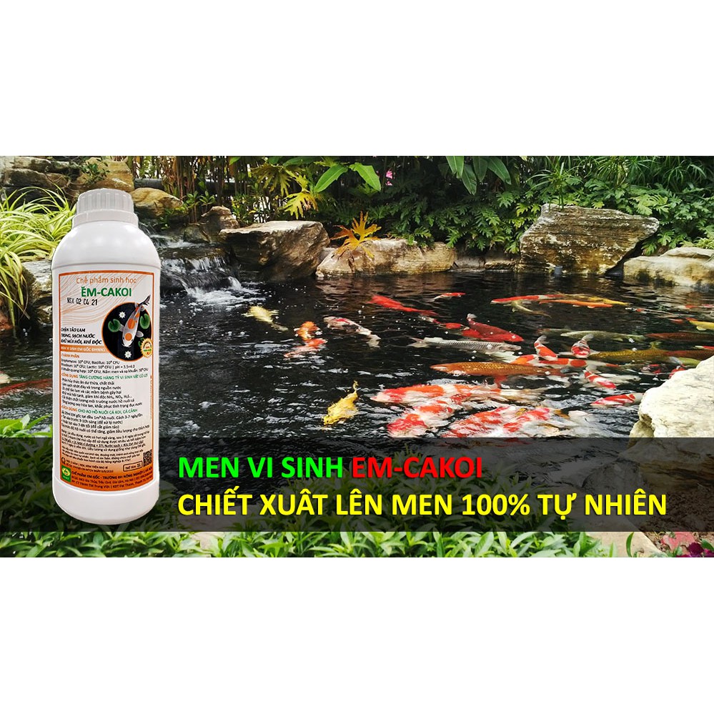 Chế phẩm vi sinh hồ Cá Koi, Cá Cảnh - Xử lý nước trong sạch - Giảm độ đục - Chặn Tảo lam - Khử mùi hôi - 100% Tự Nhiên