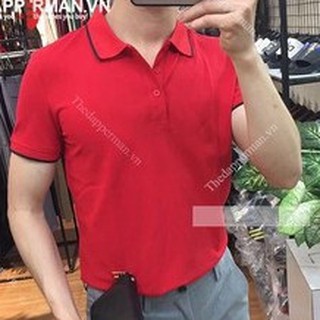 Áo Polo Nam Vải Cá Sấu Cao Cấp Chất Cotton Hàng VNXK | BigBuy360 - bigbuy360.vn