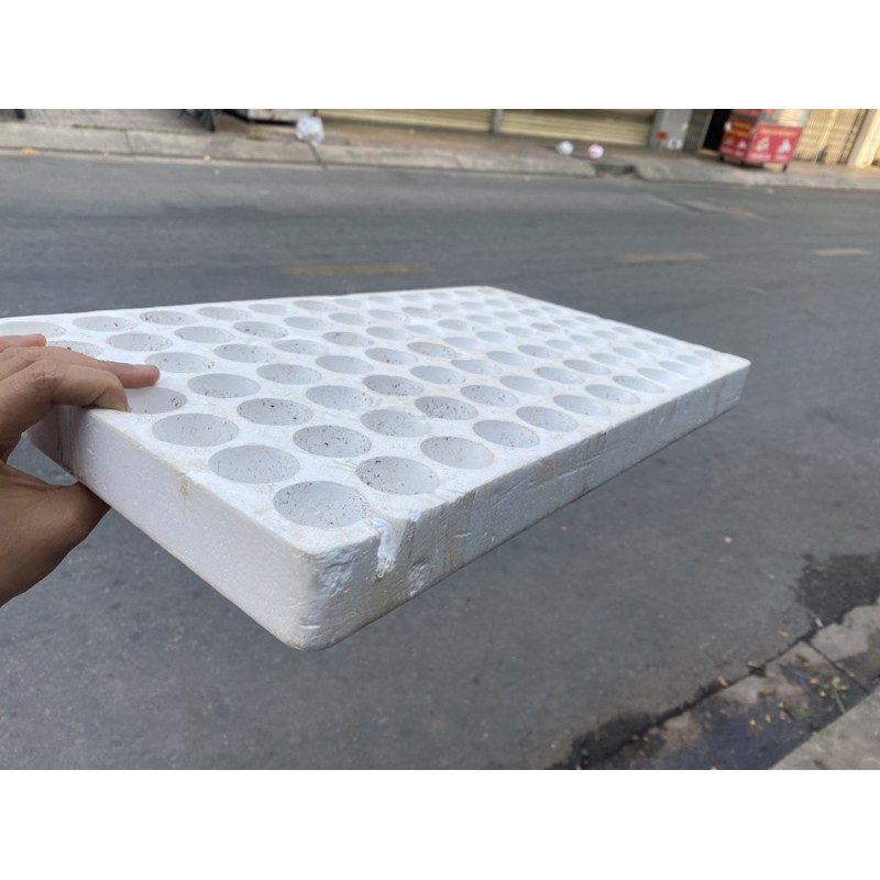 KHAY MÚT ƯƠM 84 HOẶC 112 LỖ - MUA 10 TẶNG 1 - VỈ MÚT, KHAY XỐP ƯƠM 84 LỖ