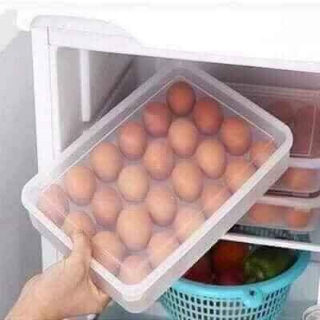 Khay đựng trứng 24 ngăn có nắp đậy Việt Nhật