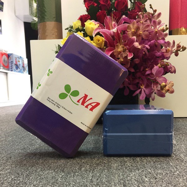 Combo 2 Gạch Tập Yoga Hebeyoga NA 300gr Cao Cấp