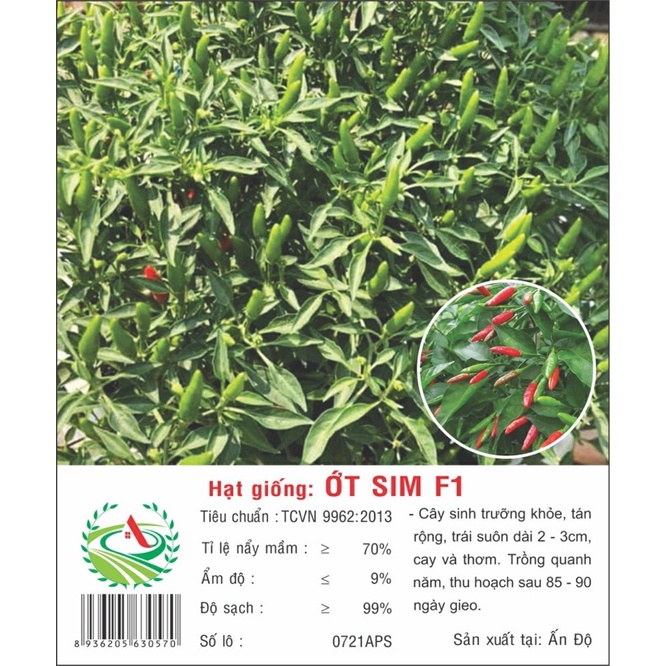 Hạt giống Ớt Sim F1 0.1g