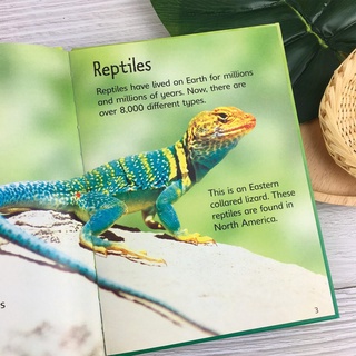 [Big Sale!] Bộ nhập 10q - USBORNE BEGINNERS NATURE BOXSET