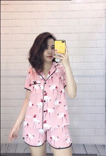 Bộ lụa tơ