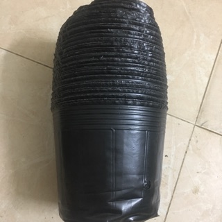 10c  bầu đen trồng cây Sz 21 x 17cm