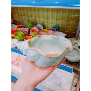 chén ốc biển - vỏ sò cho thú kiểng