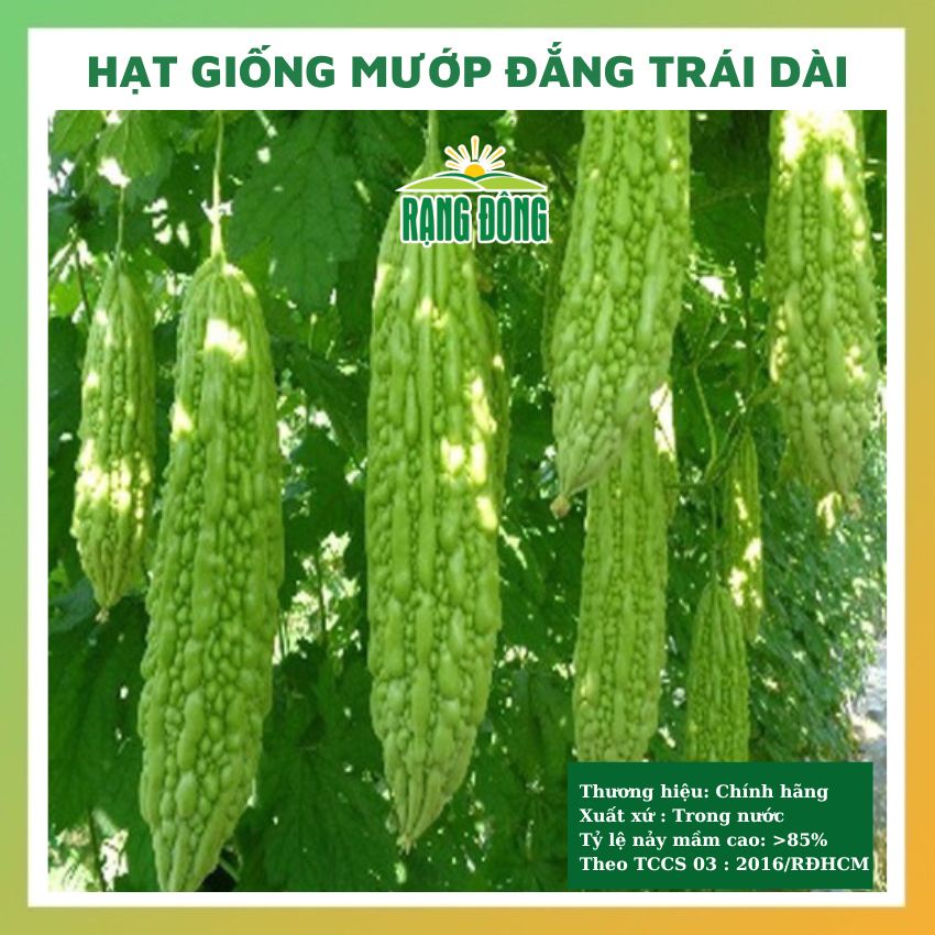 Hạt giống mướp đắng trái dài (khổ qua) - rau củ quả trồng chậu, sân vườn chịu nhiệt 4 mùa tỉ lệ nảy mầm cao 2gr RADO 316
