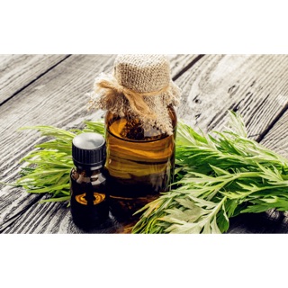 Tinh dầu trà trắng 10ml