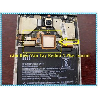 vân tay Redmi 5 plus xiaomi
