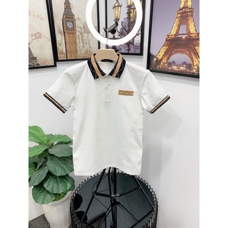 Áo Thun Có Cổ- Áo Thun Nam VNXK, Áo Thun Pollo Dày Dặn Thoáng Mát Dễ Chịu - Xưởng Đồ Nam ANV SHOP