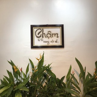 Combo 10kg cà phê Arabica Đà Lạt [500gram/ bịch] MINIZEN