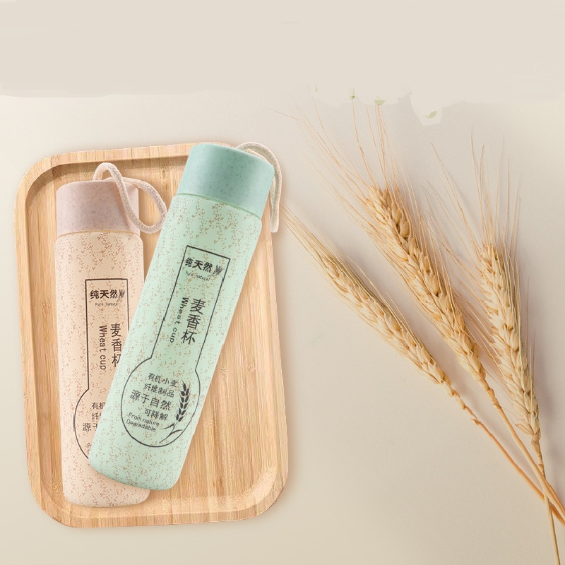 Bình đựng nước lõi thủy tinh, vỏ nhựa, mẫu mã độc đáo giữ nóng lạnh 6 đến 8 tiếng