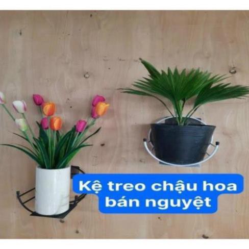 GIỎ HOA TREO, giá treo chậu hoa hình bán nguyệt có kèm miếng dính chắc chắn ạ
