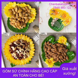 Đĩa ăn dặm hoa hướng dương, xương rồng