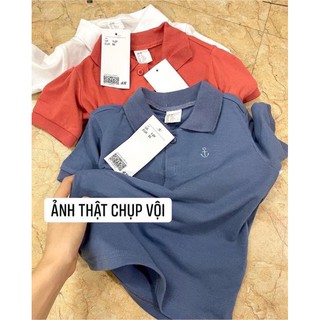 Set 3 áo polo cotton bé trai