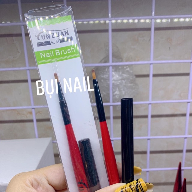 CỌ VẼ HOA CÚC