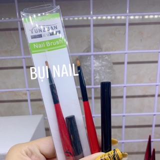 CỌ VẼ HOA CÚC