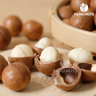 Hạt macca nứt vỏ tanu nuts, hạt mắc ca tây nguyên đã rang sấy tốt cho bà - ảnh sản phẩm 2