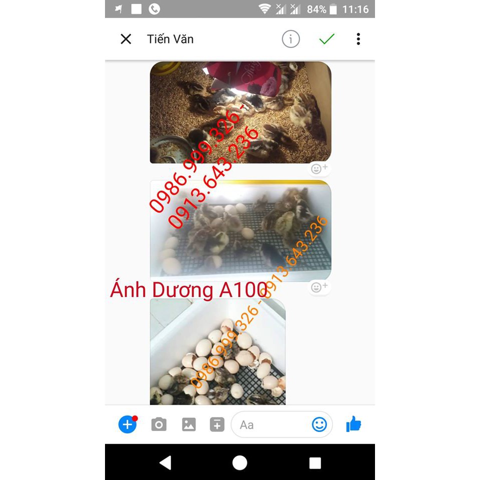- Máy ấp trứng Ánh Dương Phiên Bản A100 - Ấp tự động đảo 54 trứng