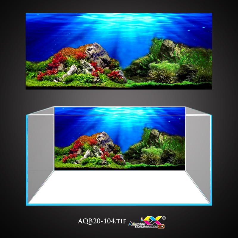 Tranh 3D dán hồ cá - bể cá mẫu thuỷ sinh siêu đẹp và nét, có keo sẵn trên bề mặt, đa dạng kích thước (AQB20-104)