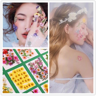 VN Hoa Ép Khô Dùng Trang Trí Diy