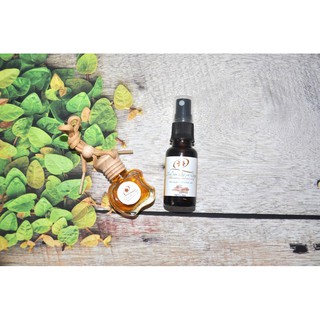 Combo Tinh dầu Quế treo xe + chai 20ml