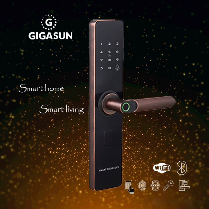 Khóa cửa vân tay Gigasun D01B