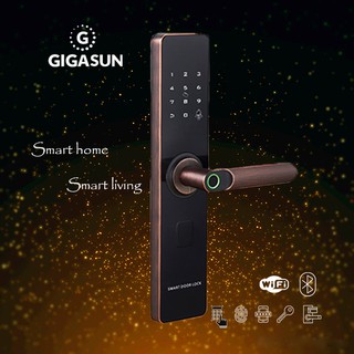 Khóa cửa vân tay Gigasun D01B