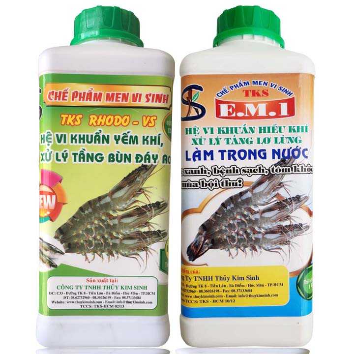 RHODO Và EM1 Men vi sinh Xử Lý Đáy, Làm Trong Nước Ao Hồ Nuôi Thủy Sản
