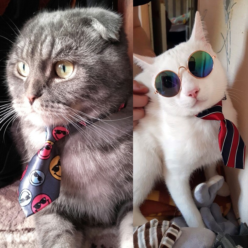 Cà Vạt Nơ Dễ Thương Nhiều Màu Sắc Dành Cho Thú Cưng