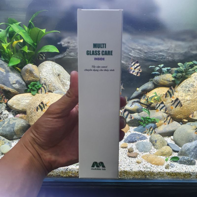 Tổng Hợp Vi Sinh Hãng Multi Bio Làm Trong Nước Nhanh Cho Hồ Thủy Sinh Và Cá Cảnh - Multi bio