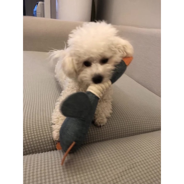 Đồ chơi Vịt nhồi bông kêu bíp bíp dành cho thú cưng/phụ kiện chó mèo - 4pets official