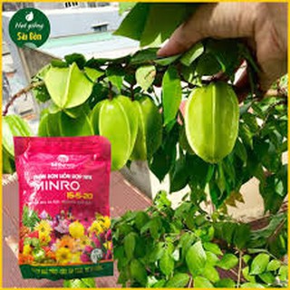 PHÂN BÓN NPK RA HOA ĐẬU TRÁI