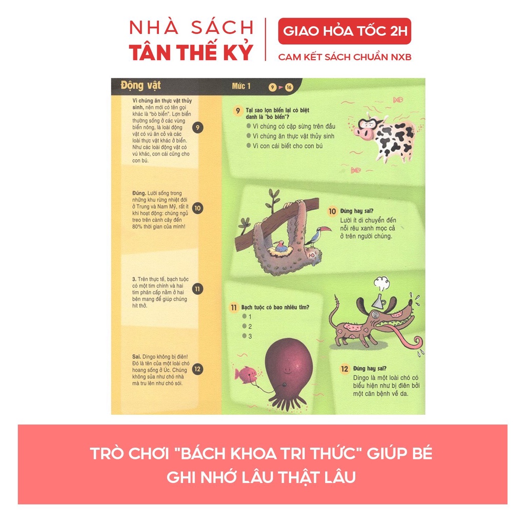 Sách - Maxi Quiz Trắc nghiệm toàn diện về Bách khoa tri thức hơn 1000 câu hỏi và trả lời tương tác cho bé