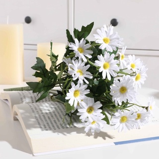 Hoa cúc hoạ mi giả hằng decor