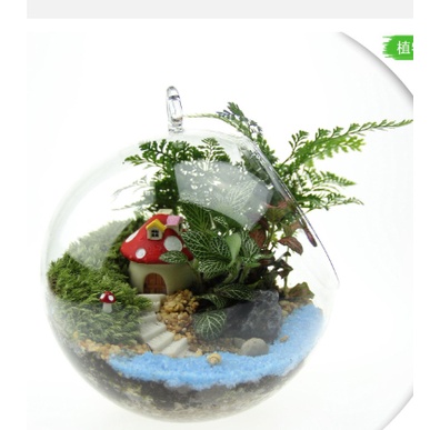 Nhà nấm mô hình mini trang trí terrarium, sen đá, tiểu cảnh 1,5x1,6cm