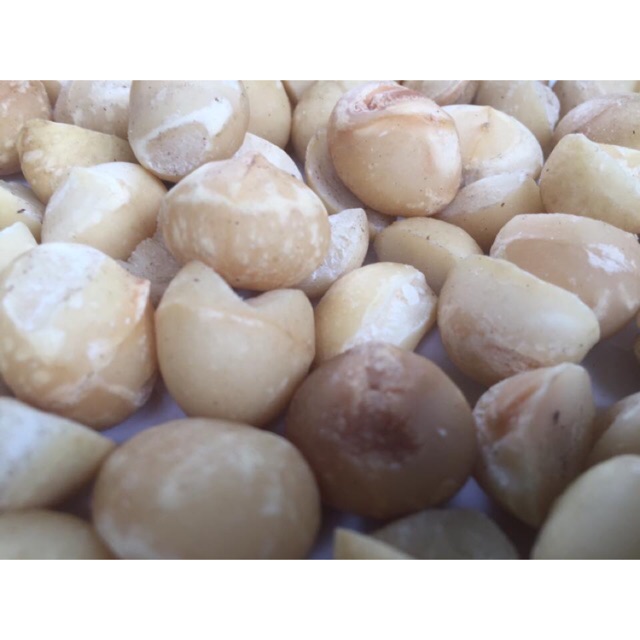 Hạt Macca Lâm Đồng