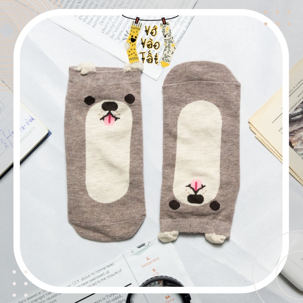 TẤT VỚ CỔ NGẮN MÈO CÚN CÓ TAI