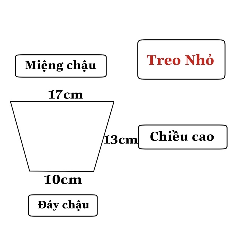 CHẬU TREO TRẮNG 2 Size (Kèm dây treo) GIÁ TẠI XƯỞNG