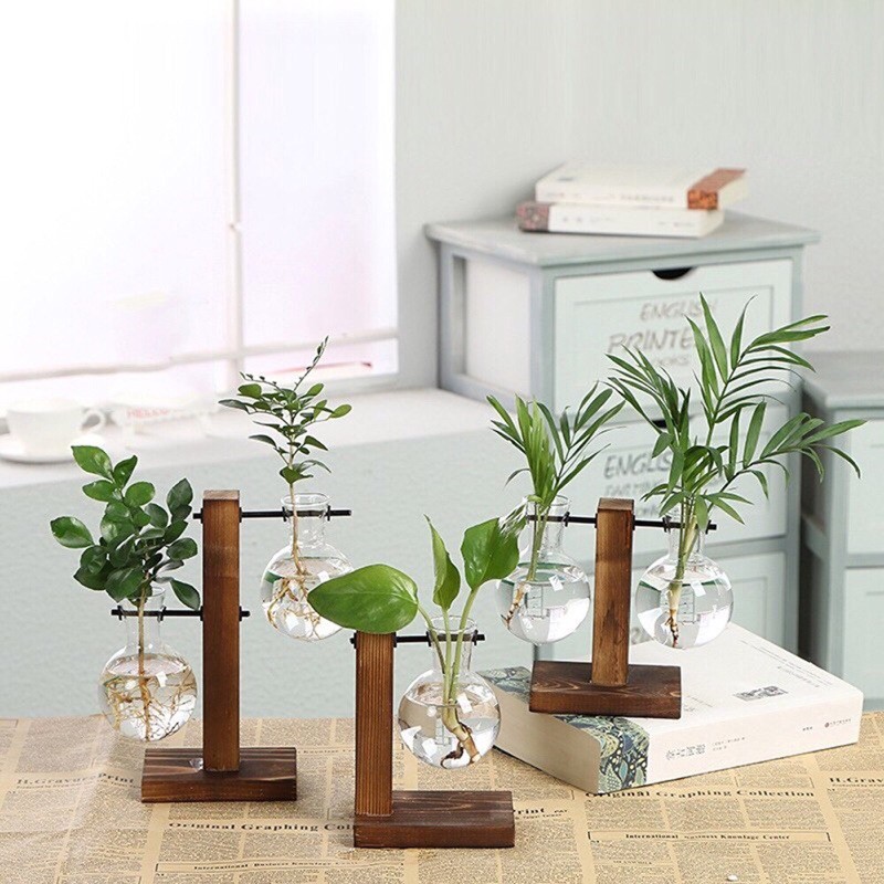Set chậu trồng cây chốn văn phòng mang cả thiên nhiên vao trong cty hay nhà