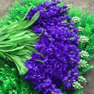 hoa phi yến lụa