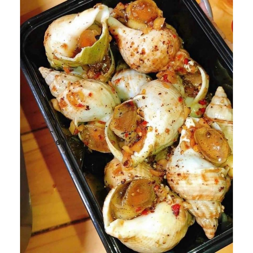 Ốc Bulot Pháp.Khay 500gram. Tặng kèm muối sữa chấm hải sản. Ốc Bulot nhập khẩu. Ship liền HCM.