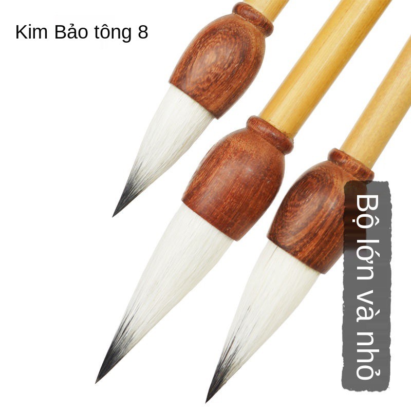 Shanlian Jinbaotang Brush Set Jianhao Cal Thư pháp Thông thường Chữ viết chính thức Trung Quốc Tranh Hoa mẫu đơn Màu